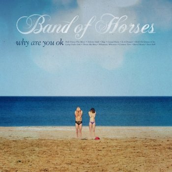 Band of Horses Throw My Mess