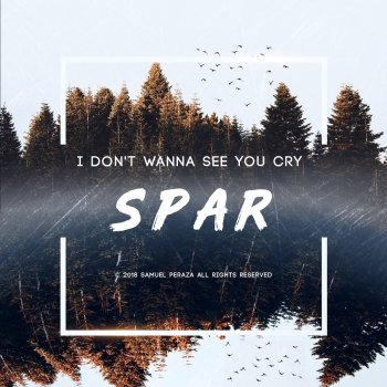 Spar I Don't Wanna See You Cry