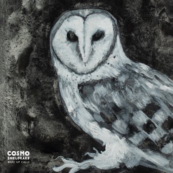 Cosmo Sheldrake Owl Song