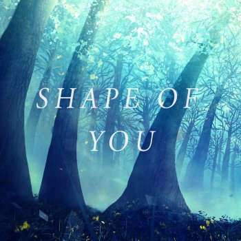 Jon D, Alyssa Poppin & Max Wrye Shape of You (feat. Alyssa Poppin & Max Wrye)