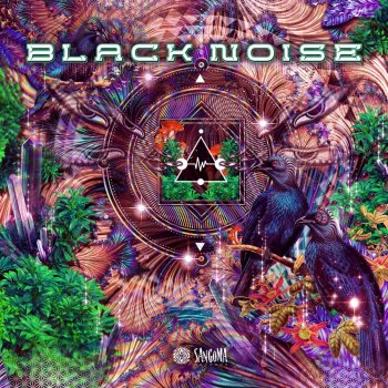 Black Noise The Big Bong Theory