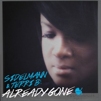 Sidelmann feat. Terri B!, CJ Stone & Onegin Already Gone (Cj Stone & Onegin Radio Edit)