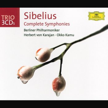 Jean Sibelius, Helsinki Radio Symphony Orchestra & Okko Kamu Symphony No.1 in E minor, Op.39: 1. Andante, ma non troppo - Allegro energico