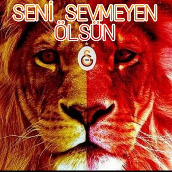BerHilKa Seni Sevmeyen Ölsün Galatasaray