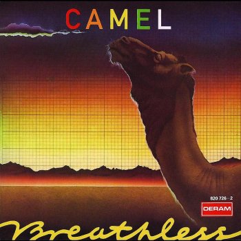 Camel Starlight Ride