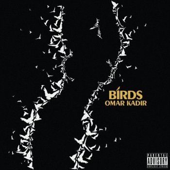 Omar Kadir Birds