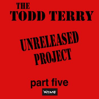 Todd Terry In the Name of Love