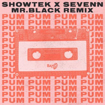 Showtek feat. MR.BLACK & Sevenn Pum Pum - MR.BLACK Remix