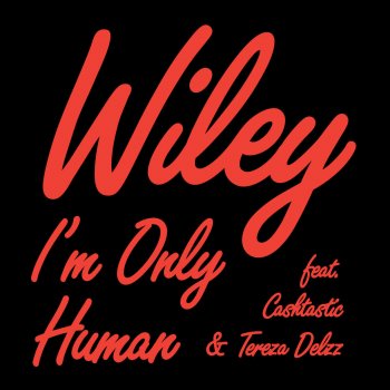 Wiley I'm Only Human (Instrumental)