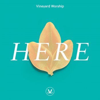 Vineyard Worship feat. Samuel Lane More Than Anything