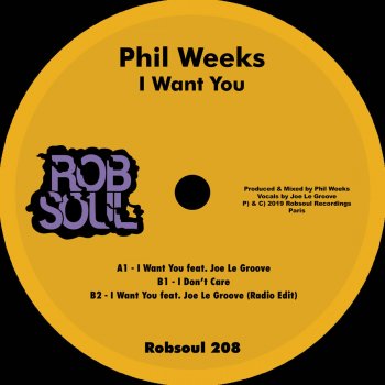 Phil Weeks feat. Joe Le Groove I Want You (Radio Edit)