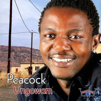 Peacock Nompongwe