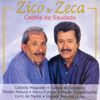 Zico & Zeca Sete Notas Musicais