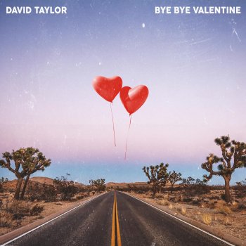 David Taylor Bye Bye Valentine
