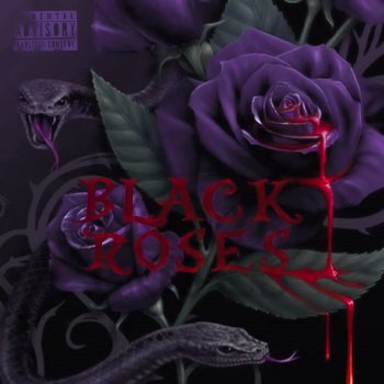 Burden Black Roses