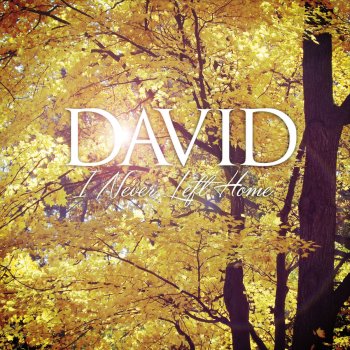 David You Gave Me Love