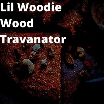 Lil Woodie Wood feat. Travis Travanator