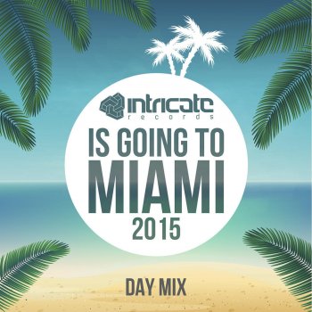 Alexey Sonar Intricate Records Is Going to Miami 2015 Day Mix (Continuous DJ Mix)