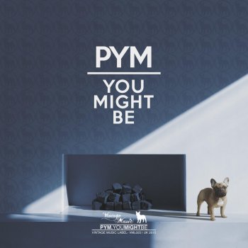 Pym You Might Be - Original Mix