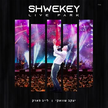 Yaakov Shwekey I Am Alive - Live