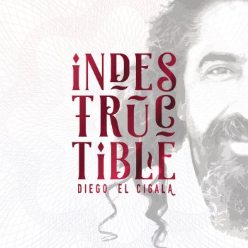 Diego El Cigala Indestructible