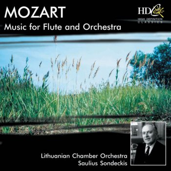 Lithuanian Chamber Orchestra Andante in C Major for Flute and Orchestra, K. 315: