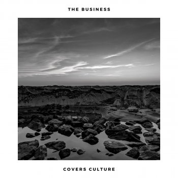 Covers Culture feat. Acoustic Covers Culture The Business
