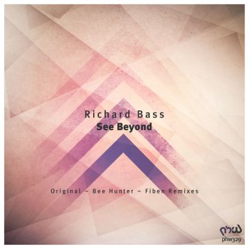 Richard Bass See Beyond (Bee Hunter Remix)