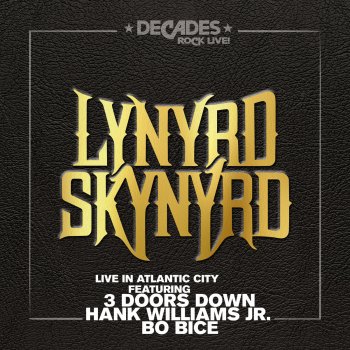 Lynyrd Skynyrd Gimme Three Steps - Live in Atlantic City