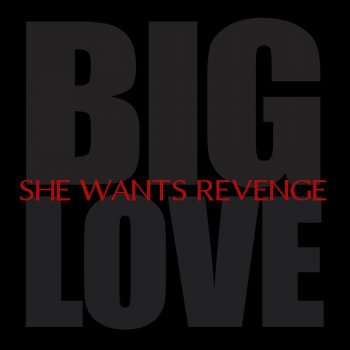 She Wants Revenge Big Love