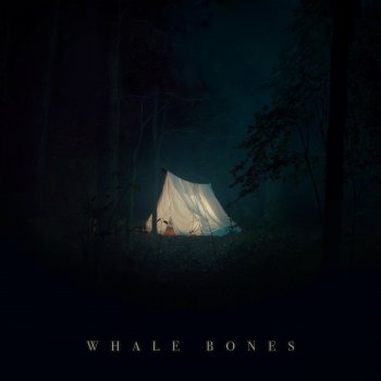 Whale Bones Say No One's Home (Instrumental)