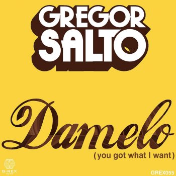 Gregor Salto Damelo (You got what I want) - Acapella