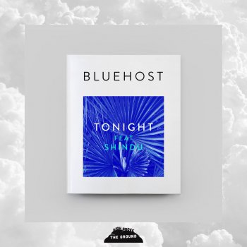 Bluehost feat. Shindu Tonight (feat. Shindu)
