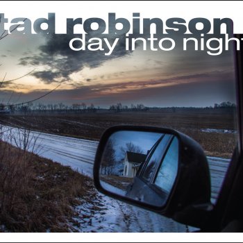Tad Robinson While You Were Gone