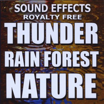 Sound Effects Rolling Thunder