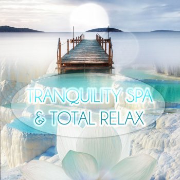 Tranquility Spa Universe Healing Waters