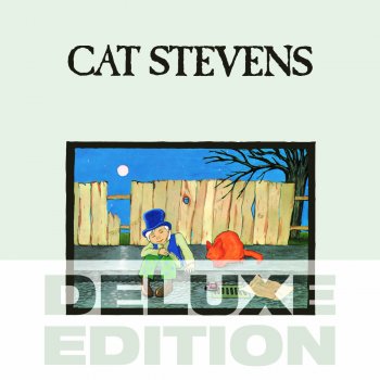 Cat Stevens Rubylove (demo version)