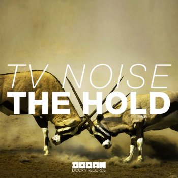 TV Noise The Hold (Edit)