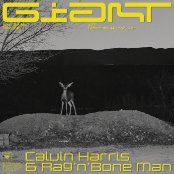 Calvin Harris, Rag’n’Bone Man Giant