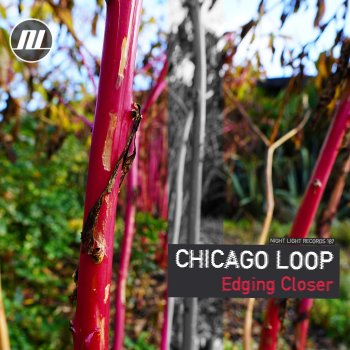 Chicago Loop Edging Closer