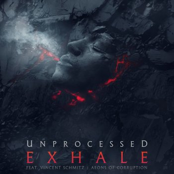 Unprocessed feat. Vincent Schmitz Exhale
