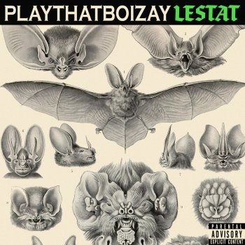 PlayThatBoiZay LESTAT