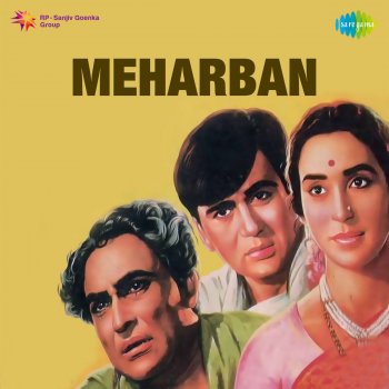 Ravi Meharban Theme (Instrumental)