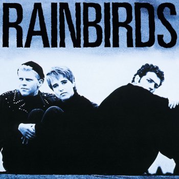 Rainbirds The Bird Up There Is Really You - Live From Bocholt Schützenhalle, Germany / May 3rd, 1989