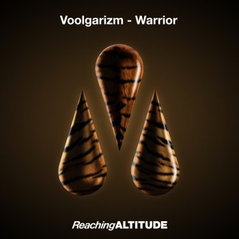 Voolgarizm Warrior (Extended Mix)