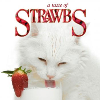 Strawbs Touch the Earth