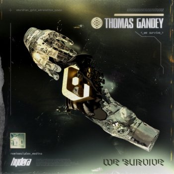 Thomas Gandey We Survive (Alex Medina Remix)