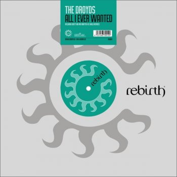 The Droyds All I Ever Wanted (Robytek vs Shield Remix)