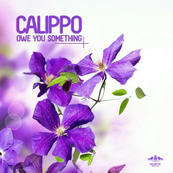 Calippo Owe You Something (Me & My Toothbrush Remix)
