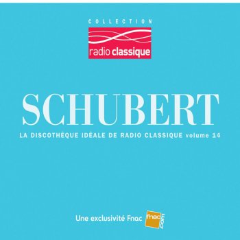 Franz Schubert feat. Christian Zacharias Schubert: Piano Sonata No. 20 in A Major, D. 959: II. Andantino